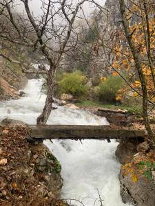 Bujtina Shpella e Plakës Çerçan