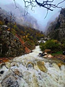 Bujtina Shpella e Plakës Çerçan