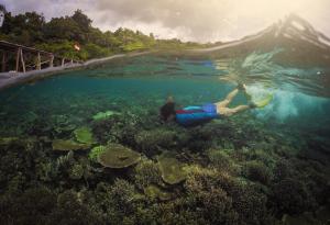 Raja Ampat Dive Resort