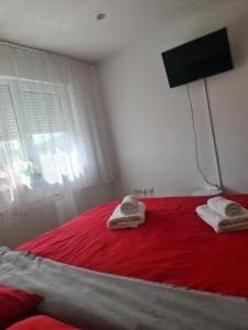 Apartament modern Cristina&Jessica