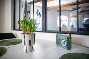 Wieża Gniezno Apartament KRÓL