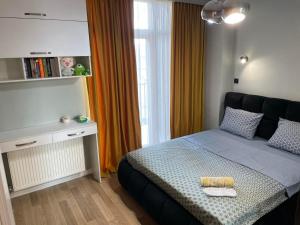 apartament for daily rent apartament for daily rent