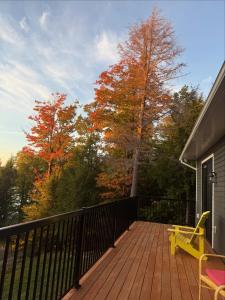 Waterfront Algonquin Retreat,Hot Tub & Sauna
