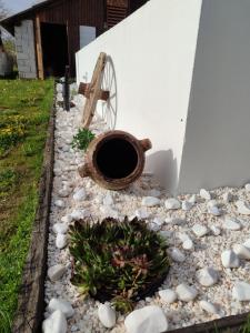 ZOĆEVIĆA KONAK
