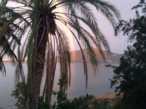 Άνθιμου Γαζή
