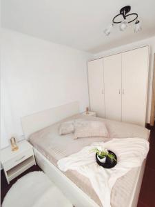 Apartment Meden Rudnik zone B