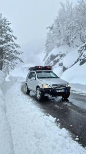 car camping rental