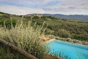 Località Montanino Di Volpaia, Radda in Chianti, 53017, Tuscany, Italy.