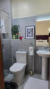 Luxurious 2 bed in CBD with swimming pool