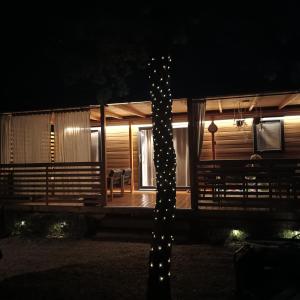 Michelle Mobile Home