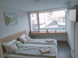 Балкан Тауър 2 5