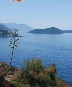 Beachfront Apartment with Panoramic Sea View and free Parking