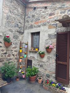 Il cantuccio di Federico