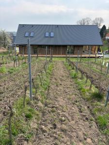 Winnica Przybysławice