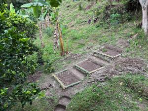 Country House, Organico Sasaima