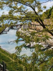 Apartment ALBA Novi Vinodolski