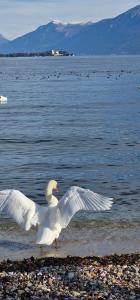 La casa dei limoni di Manerba del Garda