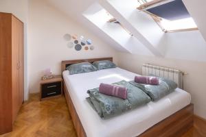 Apartment Centar lux
