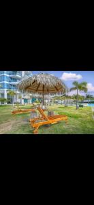 Royal Palm Nueva Gorgona