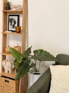 Stylish 2 Bedroom Apartment - Free Parking - Self Check-in