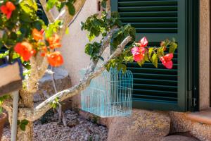 Only Adults App Osten Mallorca