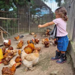 The Tree Cabins Quinta Pavo Real by AcoModo