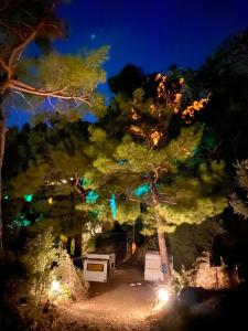 Kidrak Camping NAMASTE