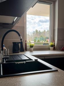 Apartament Lake Piastowska