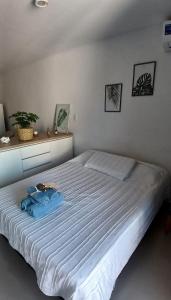Centro suite II