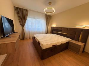 Eric Lux Apartment Central Tg-Jiu