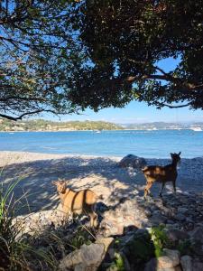 Ca De Otto, just a few minutes from the sea!