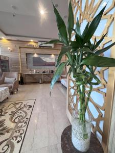 فندق الميار , Al Mayar Hotel