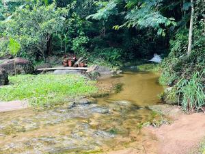 Sitio Bengala - Refúgio das Águas e Mata Nativa