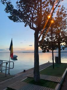 Appartamenti Limone Arancia