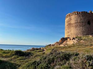 Le Rose Marine img73