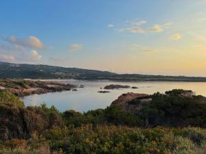 Le Rose Marine img74