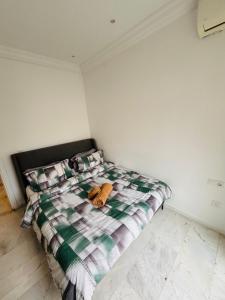 Appartement au cœur de la marsa