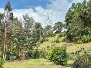 Naturaleza chalet-spa
