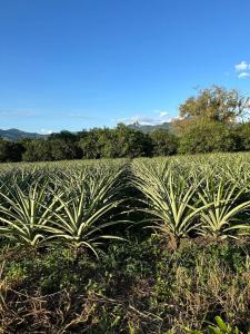 El Rincón Campestre, 2 piscinas y privacidad
