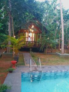 Coconut Tree House