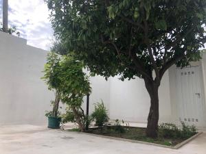 Nuraghe house 36 img35