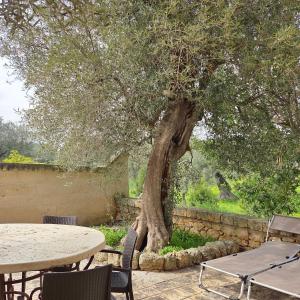 SanVirgilio Apartment in Fasano with Olive Tree and Private Garden