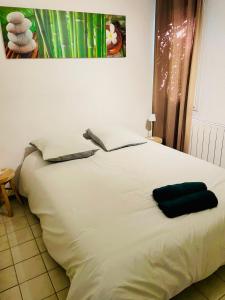 L Ecrin des sources pour 4 pers, proche des Thermes, piscine, terrasse