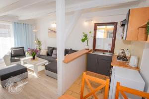 Comfortable holiday home, summer pool