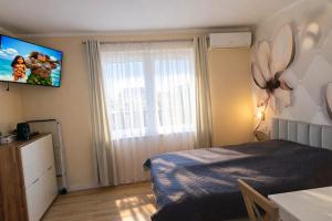 Apartment with swimming pool and jacuzzi, Mi dzywodzie