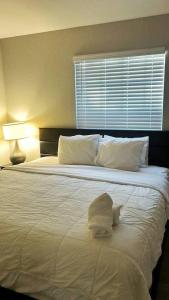 Sunny 2Bed 1Bath | King Beds | NRG at walk | Rodeo