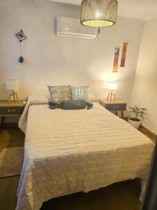 Departamento centro Mendoza