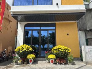 Homestay TÂN THƯƠNG LỢI