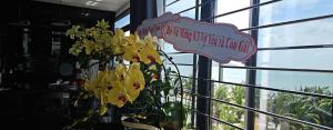 Homestay TÂN THƯƠNG LỢI