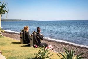Salty Breeze Amed